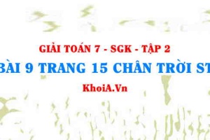 Bài 9 trang 15 Toán 7 Chân trời sáng tạo Tập 2